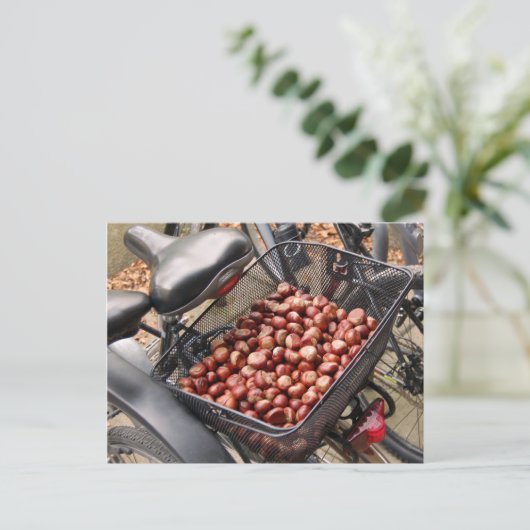 Körbchen von Nuts Postkarte (Stehend Vorderseite)