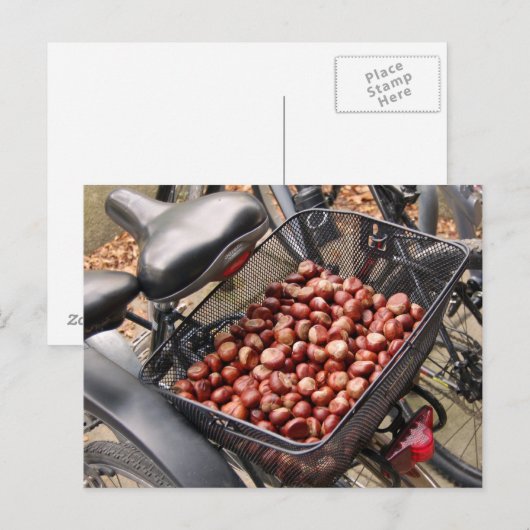 Körbchen von Nuts Postkarte (Vorne/Hinten)