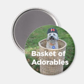 Körbe für Adorables: Adorable Hunde für Hillary Ma Magnet (Vorderseite/Rückseite)