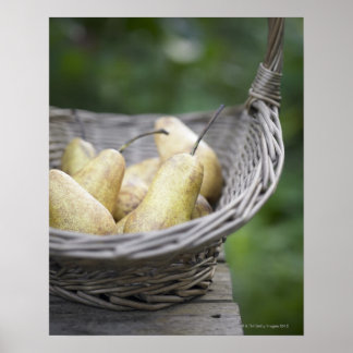Körbe mit frisch gepflückten Birnen. Poster