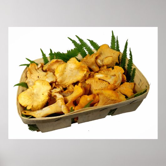Körbe mit goldenem Chanterelles Poster (Vorne)