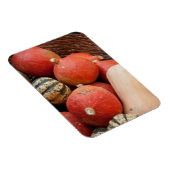 Körbe mit Kürbismagnet Magnet (Rechte Seite)