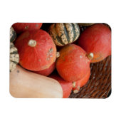 Körbe mit Kürbismagnet Magnet (Horizontal)