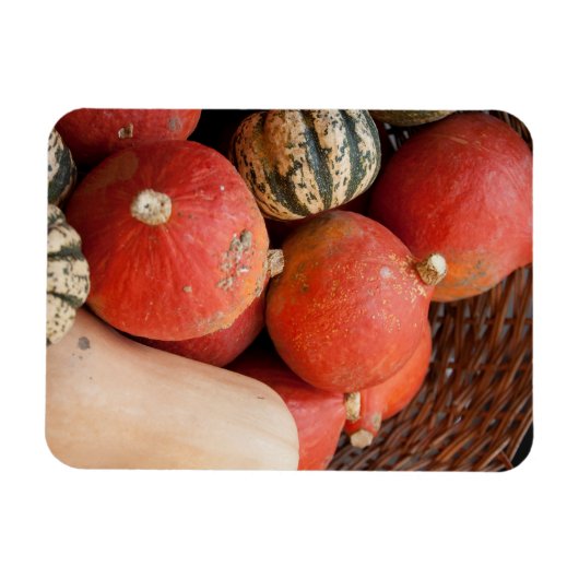 Körbe mit Kürbismagnet Magnet (Horizontal)