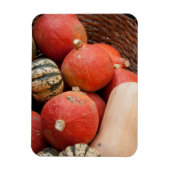 Körbe mit Kürbismagnet Magnet (Vertikal)