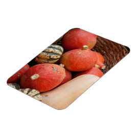 Körbe mit Kürbismagnet Magnet