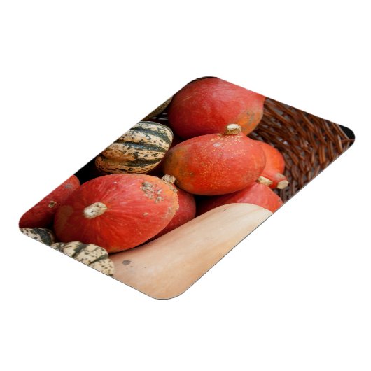 Körbe mit Kürbismagnet Magnet (Linke Seite)