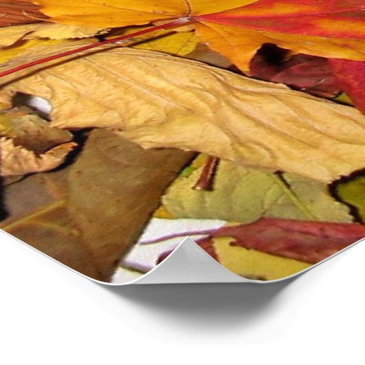 Körbe voller Herbst Poster (Ecke)