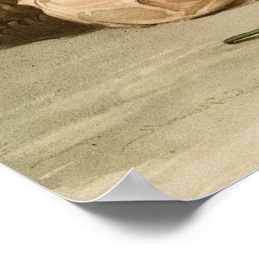 Körbe von Orangen Poster (Ecke)