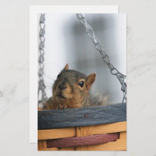 Korbfall Briefpapier (Vorne/Hinten)