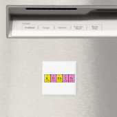 Korbin-Magnet Magnet (In Situ (Geschirrspüler))