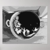 Korbkatzenposter Poster (Vorne)