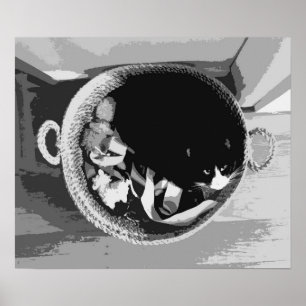 Korbkatzenposter Poster