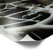 Korbstern (Gorgonocephalus eucnemis) - Kunstkunst Fotodruck (Ecke)