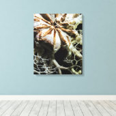 Korbstern (Gorgonocephalus eucnemis) Leinwanddruck (Insitu (Holzboden))