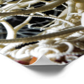 Korbstern (Gorgonocephalus eucnemis) - Poster (Ecke)