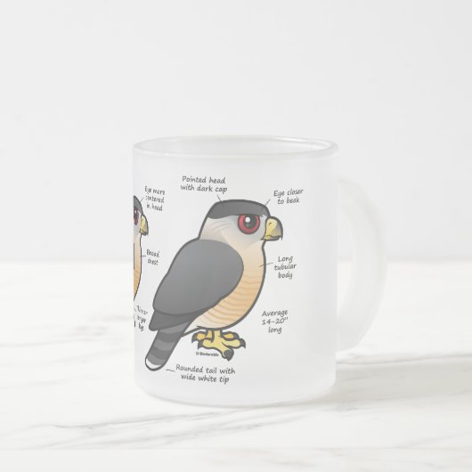 Korbv Sharpie Mattglastasse (VorderseiteRechts)