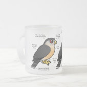 Korbv Sharpie Mattglastasse (Vorderseite Links)