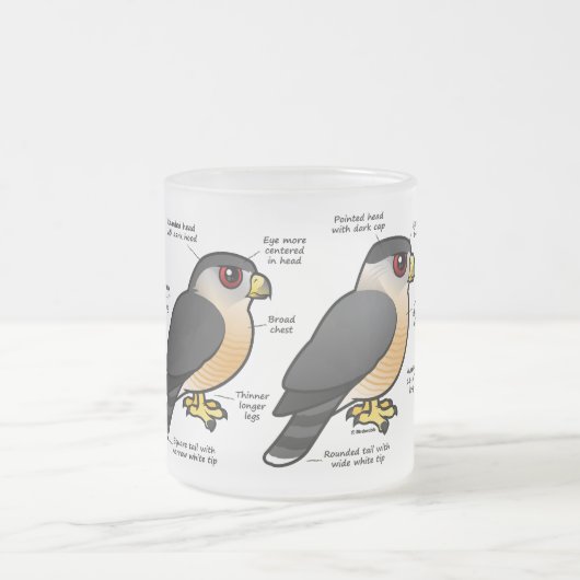 Korbv Sharpie Mattglastasse (Mittel)