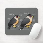 Korbv Sharpie Mousepad (Mit Mouse)