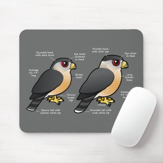 Korbv Sharpie Mousepad (Mit Mouse)