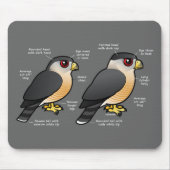 Korbv Sharpie Mousepad (Vorne)