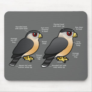 Korbv Sharpie Mousepad