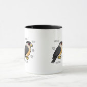 Korbv Sharpie Tasse (Zentrum)