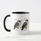 Korbv Sharpie Tasse (Links)