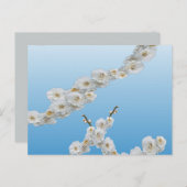 Korea Cherry Blüten Weiß Postkarte (Vorne/Hinten)