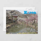 Korea-Frühling-Landschaft Postkarte (Vorne/Hinten)