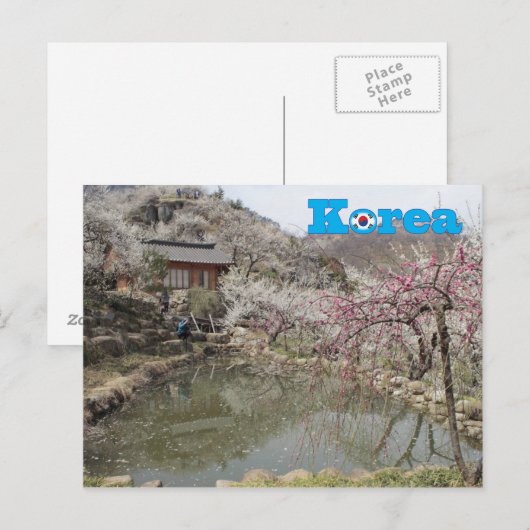 Korea-Frühling-Landschaft Postkarte (Vorne/Hinten)