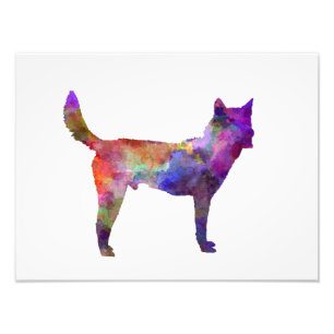Korea Jindo Dog im Watercolor Fotodruck