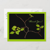 Korean Hornbeam bonsai vielen Dank Postkarte (Vorne/Hinten)