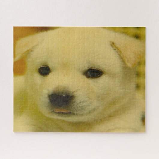 koreanischer Jindo Dog. Puzzle (Horizontal)