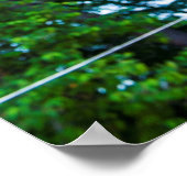 Koreanischer Tempel Roof Detail Poster (Ecke)