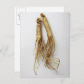koreanisches Essen, ginseng Postkarte (Vorne/Hinten)