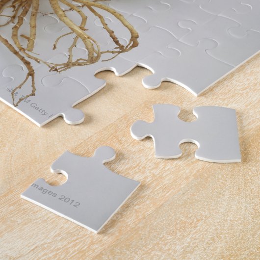 koreanisches Essen, ginseng Puzzle (Seite)