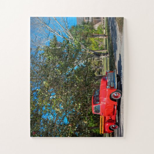 Koreshan Staat Park Puzzle (Vertikal)