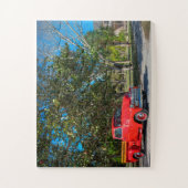 Koreshan State Park Puzzle (Vertikal)