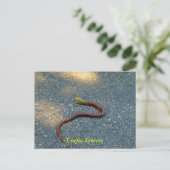 Korfu, Griechenland Postkarte (Stehend Vorderseite)