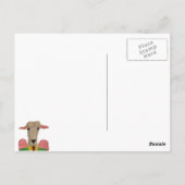 Korfu-Postkarte Postkarte (Rückseite)