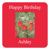 Korfu Rote Poppies Sticker