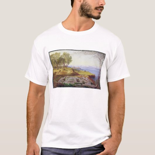 Korfu von der Besteigung, c.1856-64 (Öl auf T-Shirt (Vorderseite)