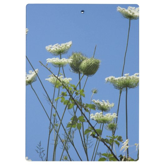 Korfu-Wildblumen Klemmbrett (Rückseite)