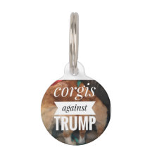 Korgi gegen Hundemarke