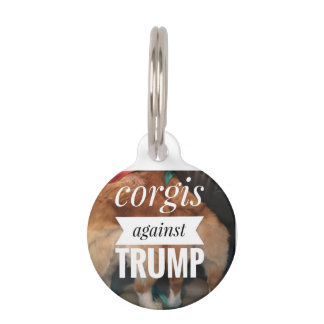 Korgi gegen Hundemarke Haustiermarke