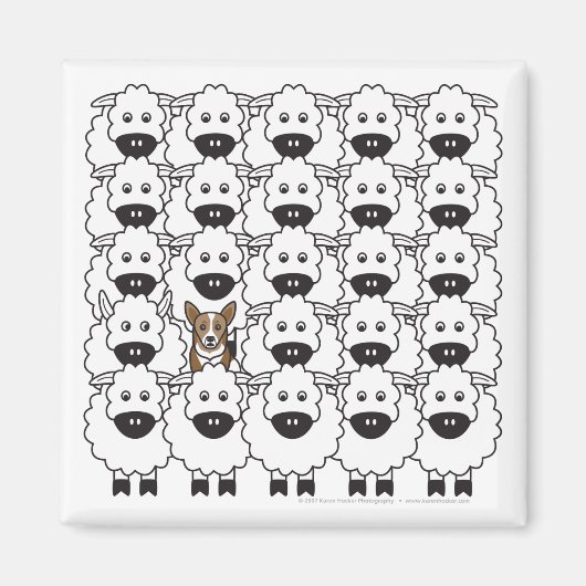 Korgi im Schafe Magnet (Vorne)