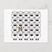 Korgi im Schafe Postkarte (Vorderseite)