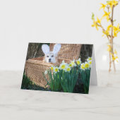Korgi in einer Basket Ostergrusskarte Karte (Gelbe Blume)